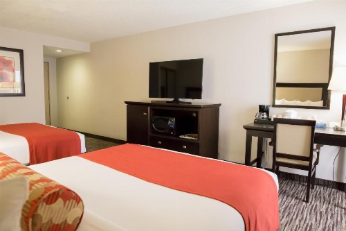 Admiral Inn Hamilton image 17